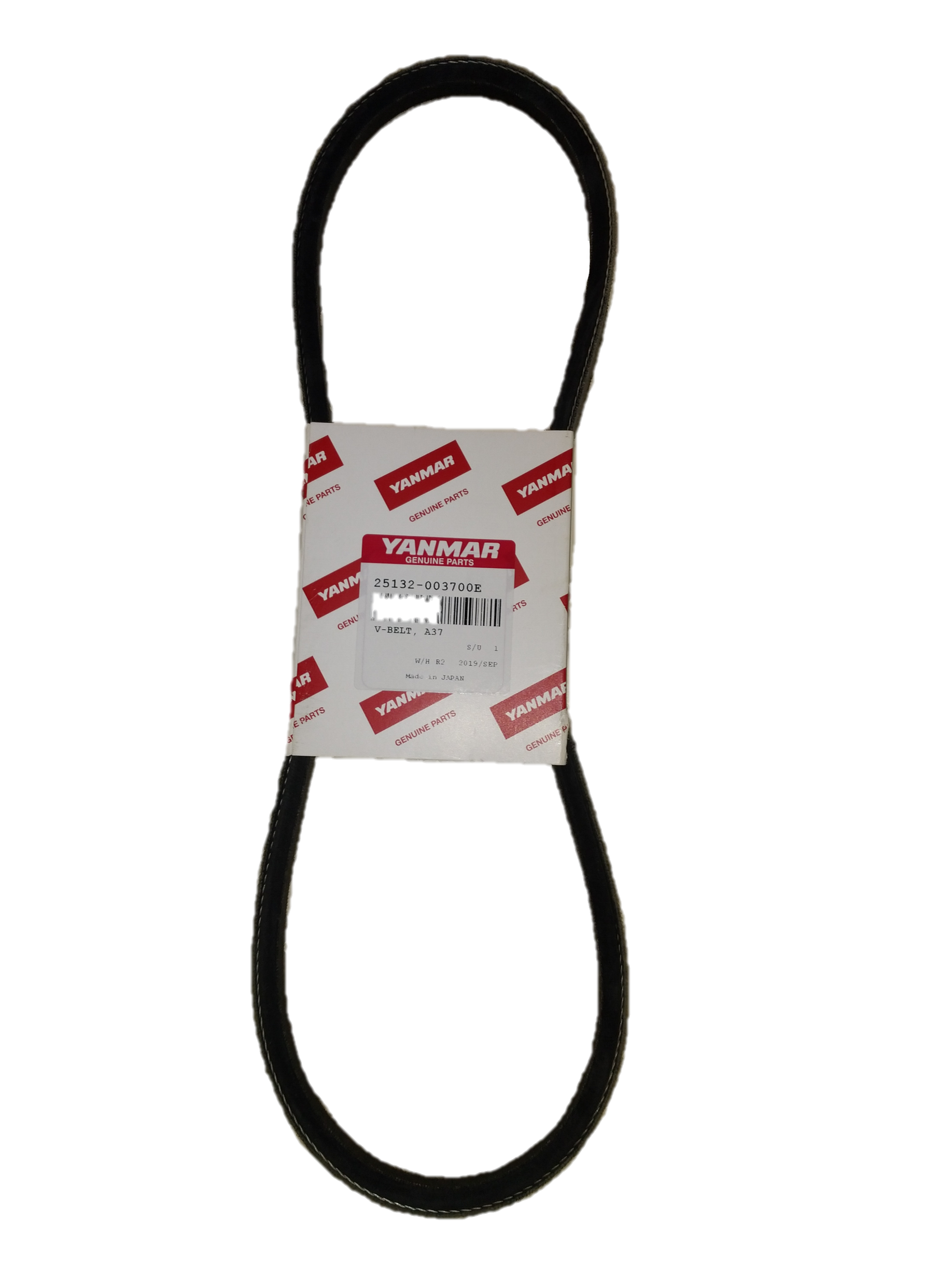 50A Alternator Belt