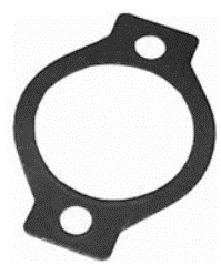 Thermostat Gasket